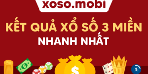 Kết quả xổ số 3 miền hôm nay - Nhanh chóng và chính xác